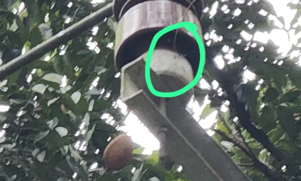 Material PLN yang mengalami gangguan. (ist)