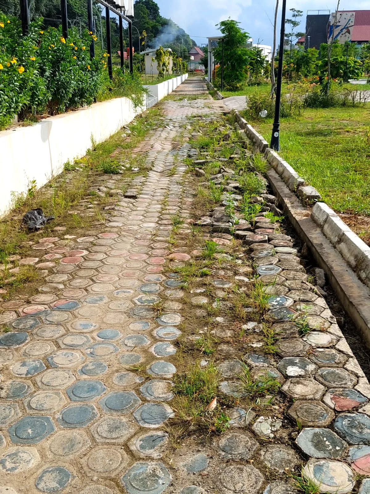 Salah satu kerusakan yang sudah timbul di RTH Putri Pinang Masak. (DETAIL/Juan)