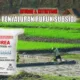 Pemerintah mewacanakan perubahan sistem distribusi pupuk bersubsidi dari sistem e-RDKK menjadi sistem BLT pupuk bersubsidi. (ist)