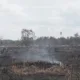 Lokasi konsesi PT Sungai Bahar Pasifik bekas terbakar. (dok. Perkumpulan Hijau)