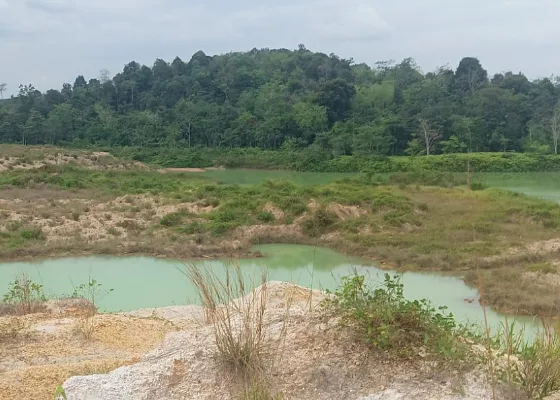 Lubang galian tambang batu bara diduga bekas aktivitas PT AMI. (Istimewa)