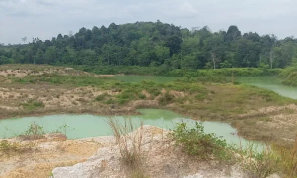 Lubang galian tambang batu bara diduga bekas aktivitas PT AMI. (Istimewa)