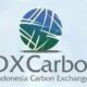 Ada sejumlah pencapaian yang berhasil dilakukan menjelang setahun Bursa Karbon atau IDXCarbon. (ist)