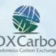 Ada sejumlah pencapaian yang berhasil dilakukan menjelang setahun Bursa Karbon atau IDXCarbon. (ist)