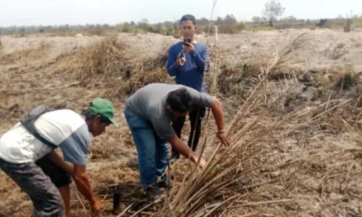Pengambilan sampel di lokasi karhutla, kawasan PT AMM. (Ist)