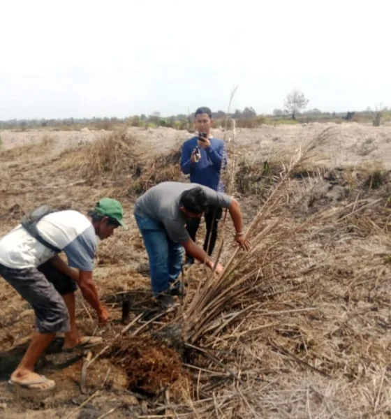 Pengambilan sampel di lokasi karhutla, kawasan PT AMM. (Ist)