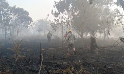 Lokasi seismik PetroChina. (ist)