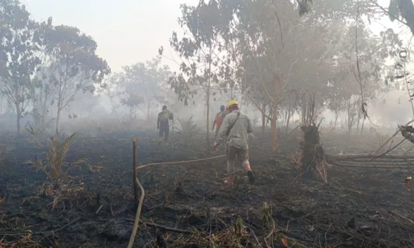 Lokasi seismik PetroChina. (ist)