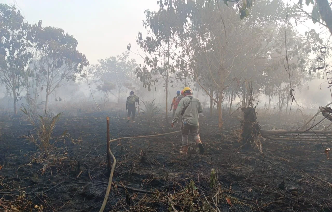 Lokasi seismik PetroChina. (ist)