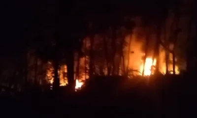 Api menyala di sumur ilegal kawasan Tahura STS Jambi. (ist)