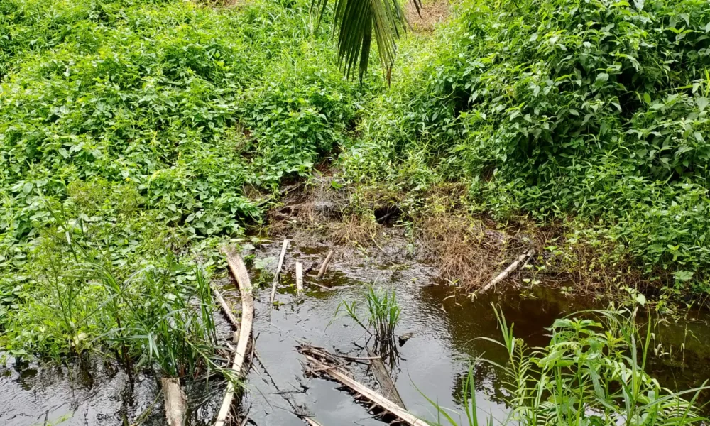 Limbah pabrik PT SGN yang mengalir ke parit warga dan masuk ke Sungai Retik. (DETAIL/Daryanto)