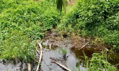 Limbah pabrik PT SGN yang mengalir ke parit warga dan masuk ke Sungai Retik. (DETAIL/Daryanto)