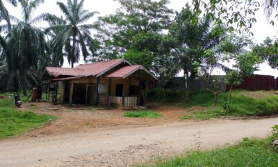 Rumah keluarga Sawal, hanya berjarak lima meter dari dinding kolam limbah PT SGN yang tak tersentuh bantuan apapun oleh perusahaan. (DETAIL/Daryanto)