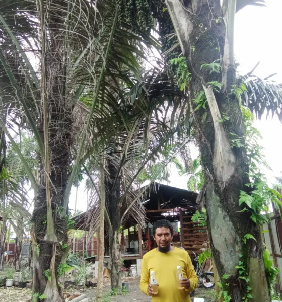 Afrinal Sitepu selaku pengelola kebun aren dan produsen minuman segar "Nira Aren Berkah". (DETAIL/Heno)