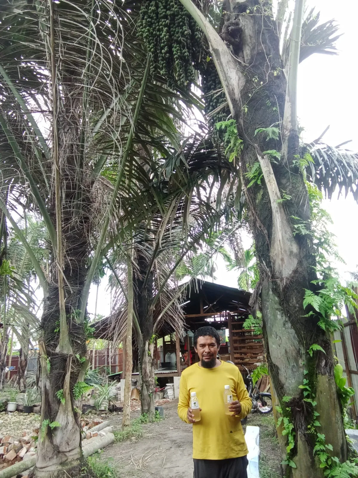 Afrinal Sitepu selaku pengelola kebun aren dan produsen minuman segar "Nira Aren Berkah". (DETAIL/Heno)