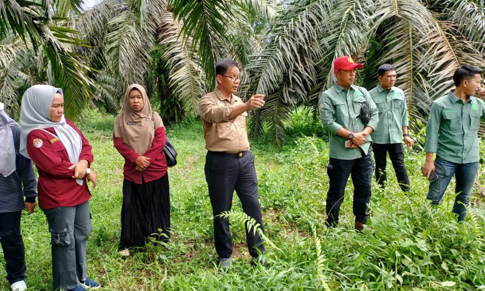 Komisi III dan DLH Merangin meninjau limbah yang dibuang ke parit. Anehnya saat disidak diduga ada karyawan yang mematikan aliran limbah yang dibuang ke parit warga. (DETAIL/Daryanto)