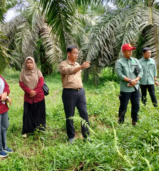 Komisi III dan DLH Merangin meninjau limbah yang dibuang ke parit. Anehnya saat disidak diduga ada karyawan yang mematikan aliran limbah yang dibuang ke parit warga. (DETAIL/Daryanto)