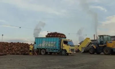 Aktivitas bongkar muat di PT SGN (ist)