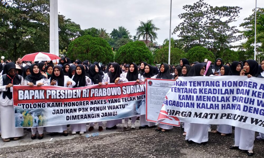 Ratusan nakes unjuk rasa di depan kantor DPRD Kabupaten Merangin. (DETAIL/Daryanto)