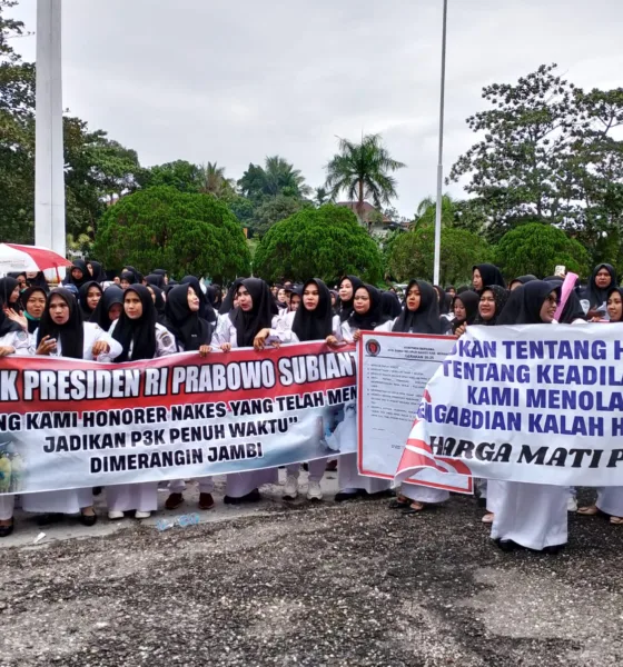 Ratusan nakes unjuk rasa di depan kantor DPRD Kabupaten Merangin. (DETAIL/Daryanto)
