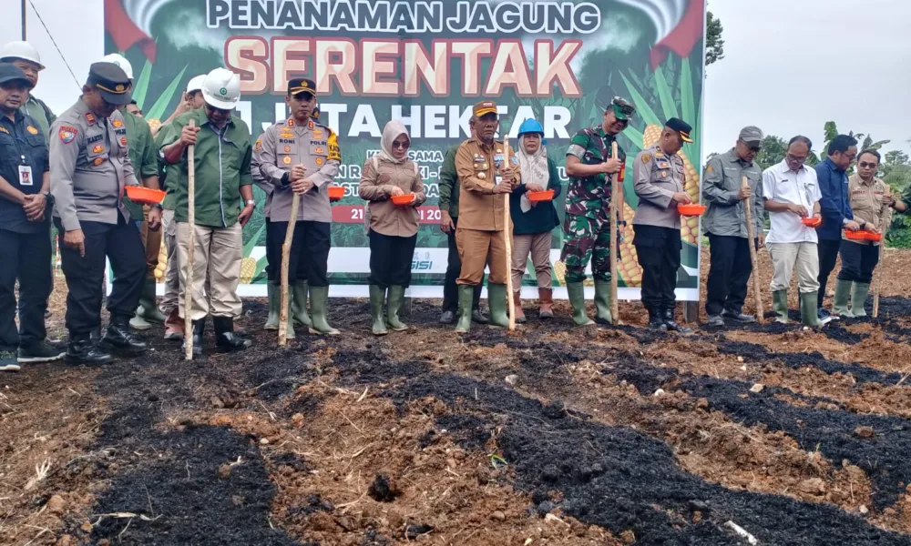 Forkopimda Merangin melakukan penanaman serentak jagung di PT SAL.b(DETAIL/Daryanto)