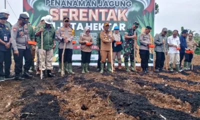 Forkopimda Merangin melakukan penanaman serentak jagung di PT SAL.b(DETAIL/Daryanto)