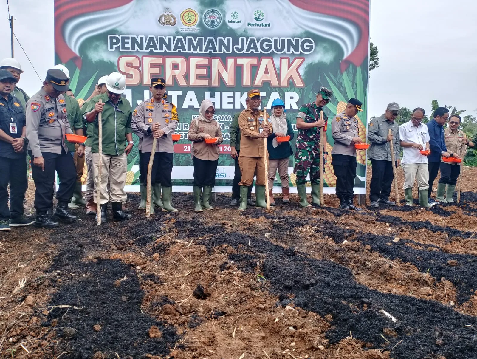 Forkopimda Merangin melakukan penanaman serentak jagung di PT SAL.b(DETAIL/Daryanto)