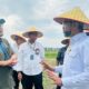 Rombongan Kemenko Bidang Pangan mengunjungi area pengolahan ikan milik Regal Springs Indonesia, Rabu, 22 Januari 2025. (ist)