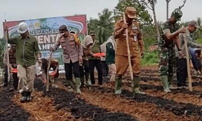 Pj Bupati Merangin, Jangcik Mohza dan Kapolres Merangin AKBP Roni Syahendra saat tanam jagung. (ist)