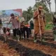 Pj Bupati Merangin, Jangcik Mohza dan Kapolres Merangin AKBP Roni Syahendra saat tanam jagung. (ist)