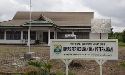 Dinas Perkebunan dan Peternakan (Disbunak) Muarojambi. (ist)