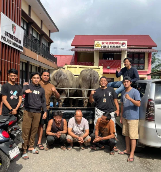 Tiga pelaku spesialis pencurian ternak usai ditangkap bersama barang bukti ternak yang dicurinya. (ist)