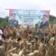 Wabub Merangin Khafid Moein dan Kapolres Merangin AKBP Roni Syahendra bersama dinas terkait saat panen serentak jagung di Desa Tambang Emas. (DETAIL/Daryanto)