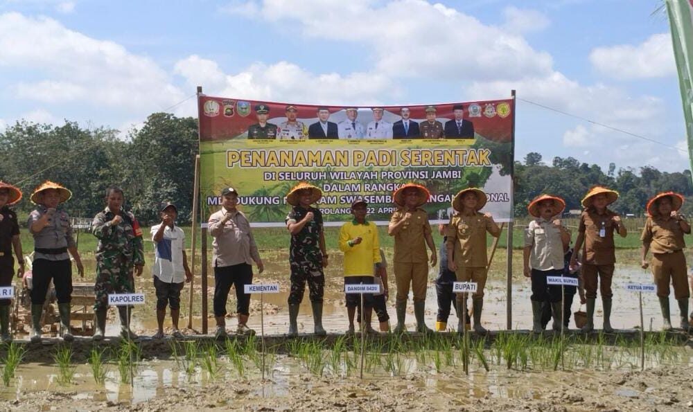 Bupati Sarolangun, H. Hurmin bersama dengan Dandim Sarko saat melakukan tanam padi serentak. (ist)