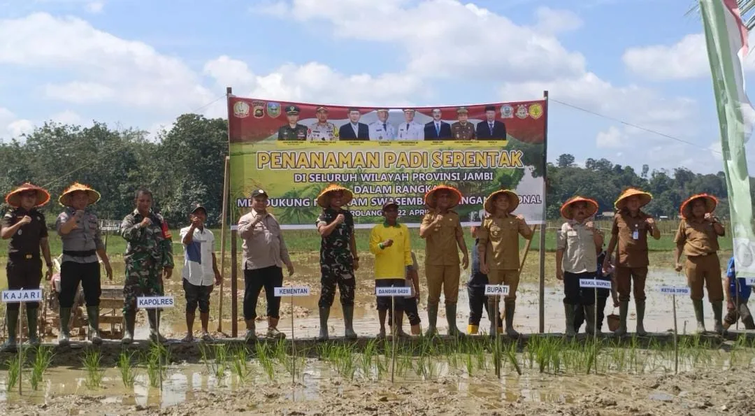 Bupati Sarolangun, H. Hurmin bersama dengan Dandim Sarko saat melakukan tanam padi serentak. (ist)