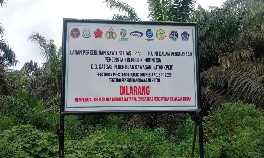 EKSEKUSI: Dari 2.123 hektare lahan PT MKI yang masuk kawasan, baru 231 hektare yang dieksekusi oleh Satgas PKH. (ist)