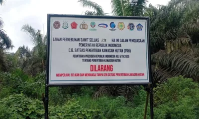 EKSEKUSI: Dari 2.123 hektare lahan PT MKI yang masuk kawasan, baru 231 hektare yang dieksekusi oleh Satgas PKH. (ist)