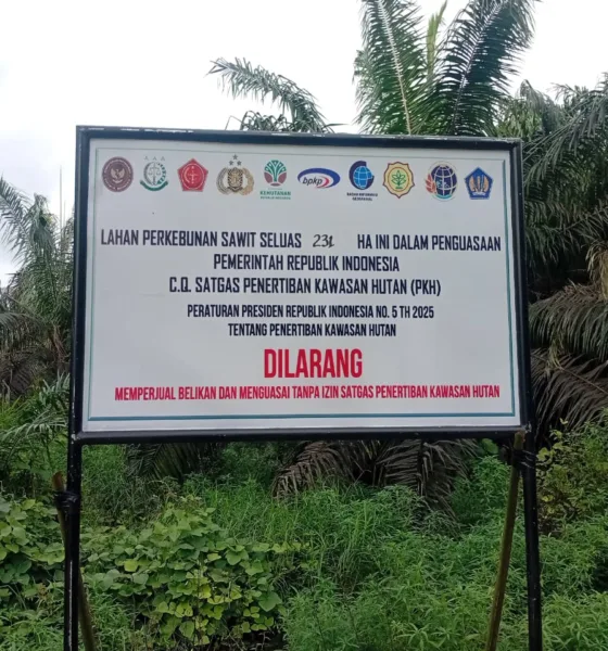 EKSEKUSI: Dari 2.123 hektare lahan PT MKI yang masuk kawasan, baru 231 hektare yang dieksekusi oleh Satgas PKH. (ist)