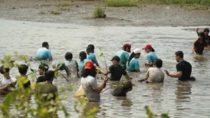 Siswa SMA Kolese De Britto sedang menanam bibit pohon di Pantai Trisik, Kulon Progo dalam merayakan HUT ke-77. (ist)